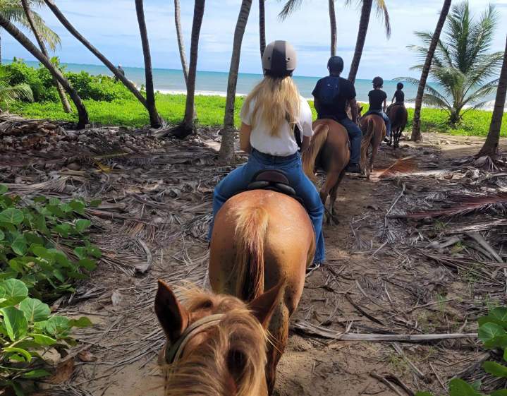 Balade équestre Martinique
