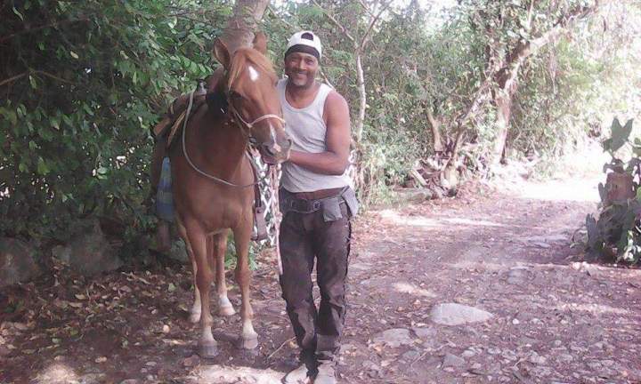 Balades équestres pour débutants Martinique