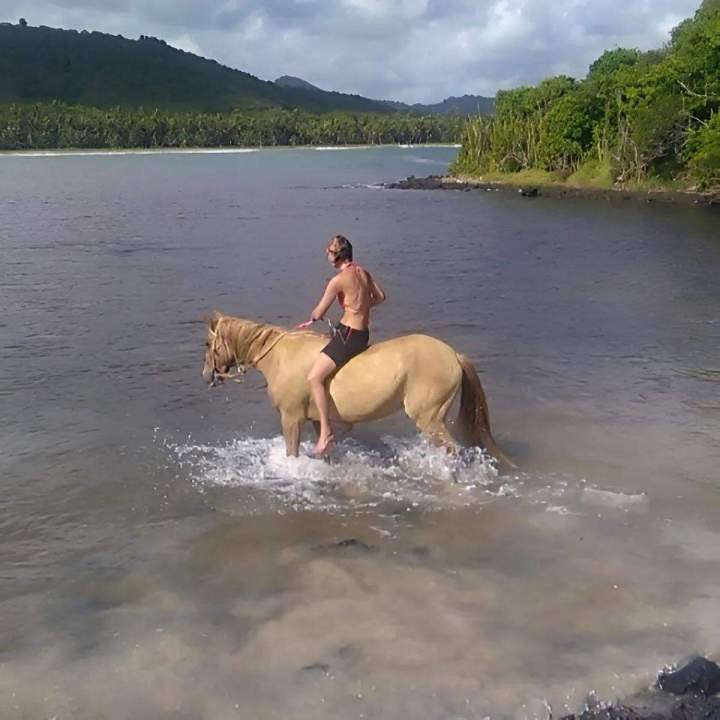 Sorties équestres Martinique