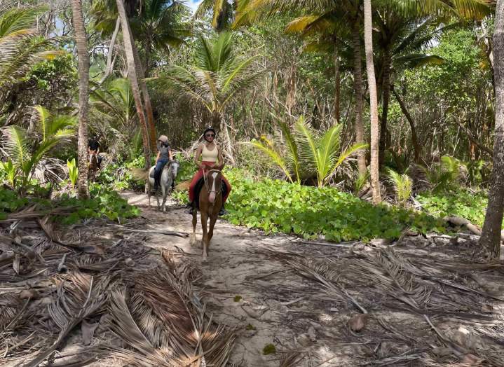 Balades à cheval Martinique