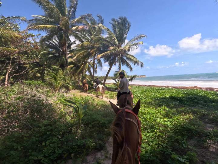 Promenades à cheval Martinique