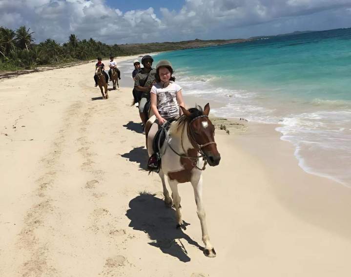 Randonnées à cheval Martinique