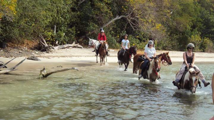 Promenade à cheval Martinique