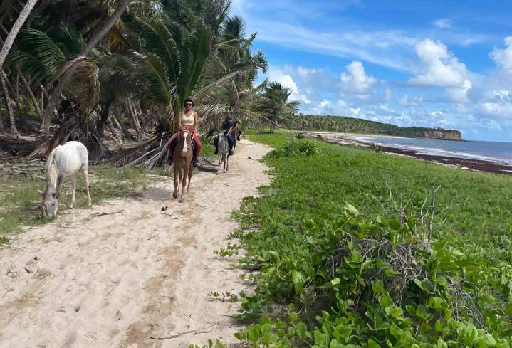 Randonnée grand Macabou Martinique