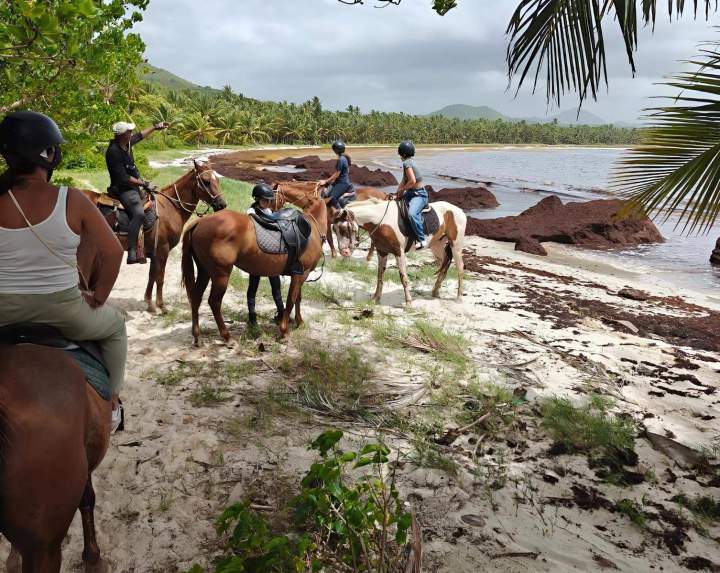 Organisation randonnée équestre Martinique