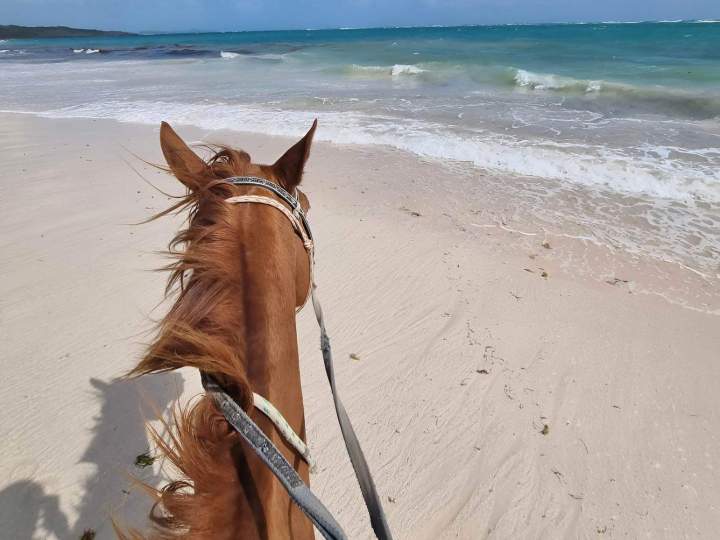 Découverte grand Macabou Martinique