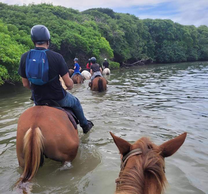 Balade équestre Martinique