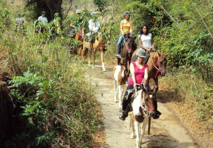 Des promenades à cheval en toute sécurité