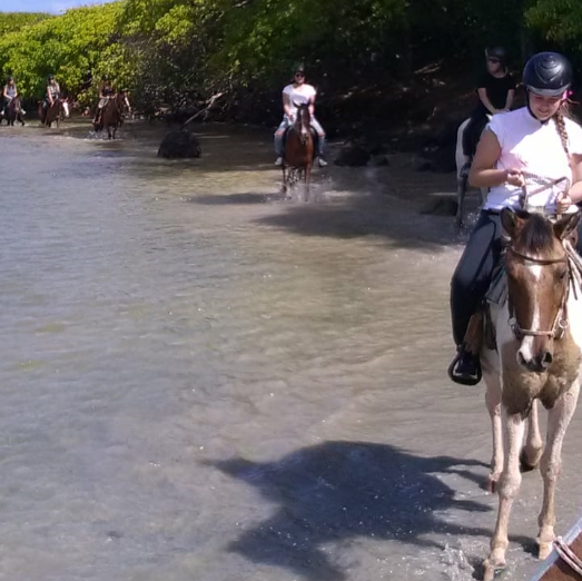 Balades équestres pour débutants Martinique