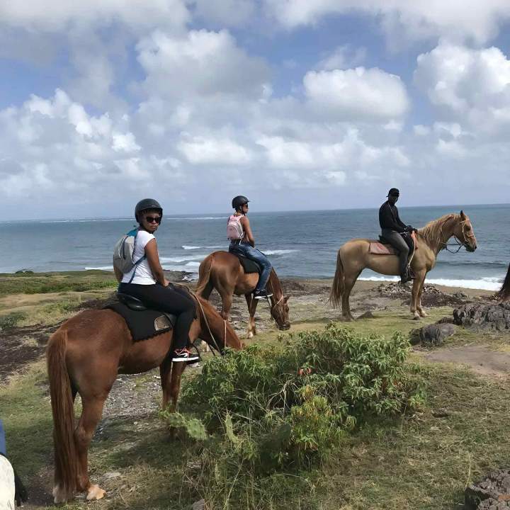 Randonnées à cheval Martinique
