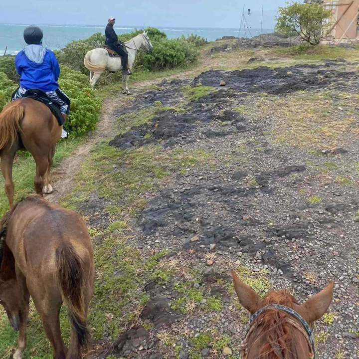 Balades à cheval Martinique